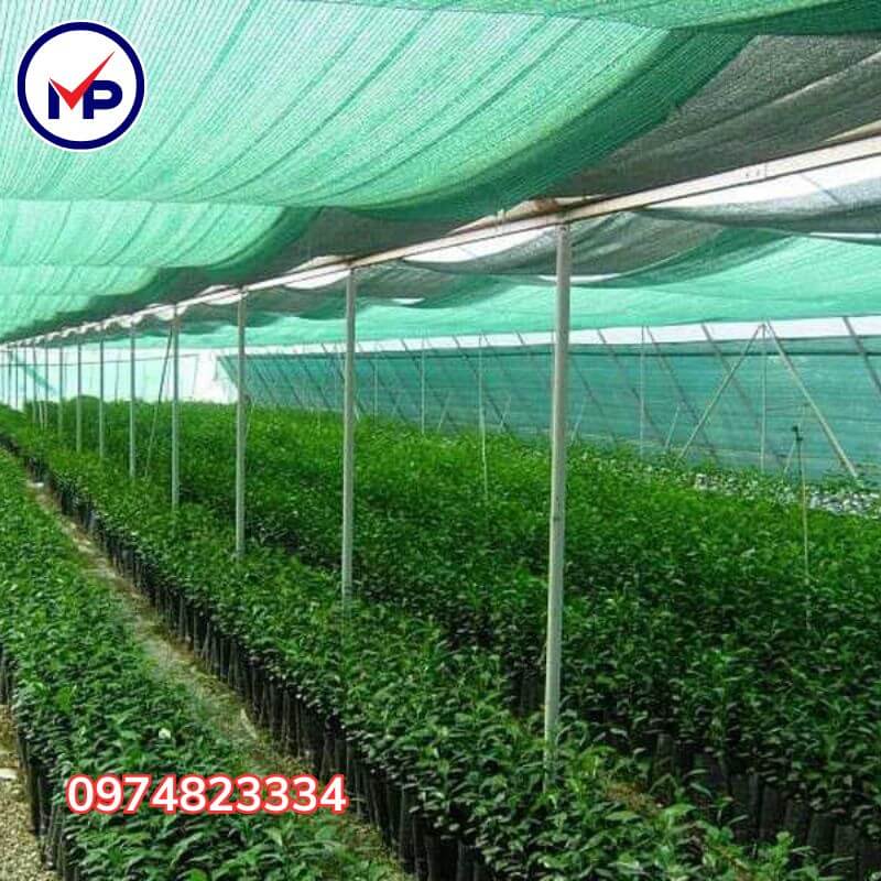 lưới xanh chống nắng