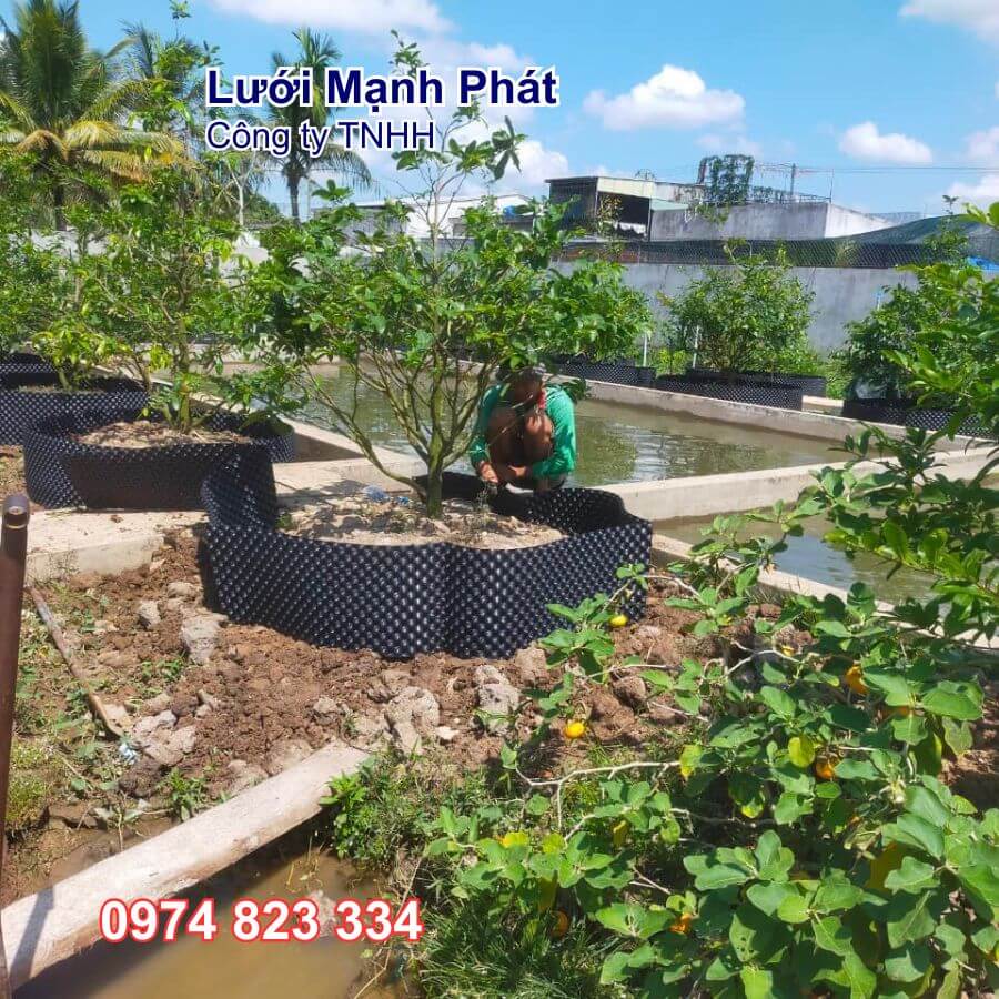 bầu ươm cây thông minh v6 30cm