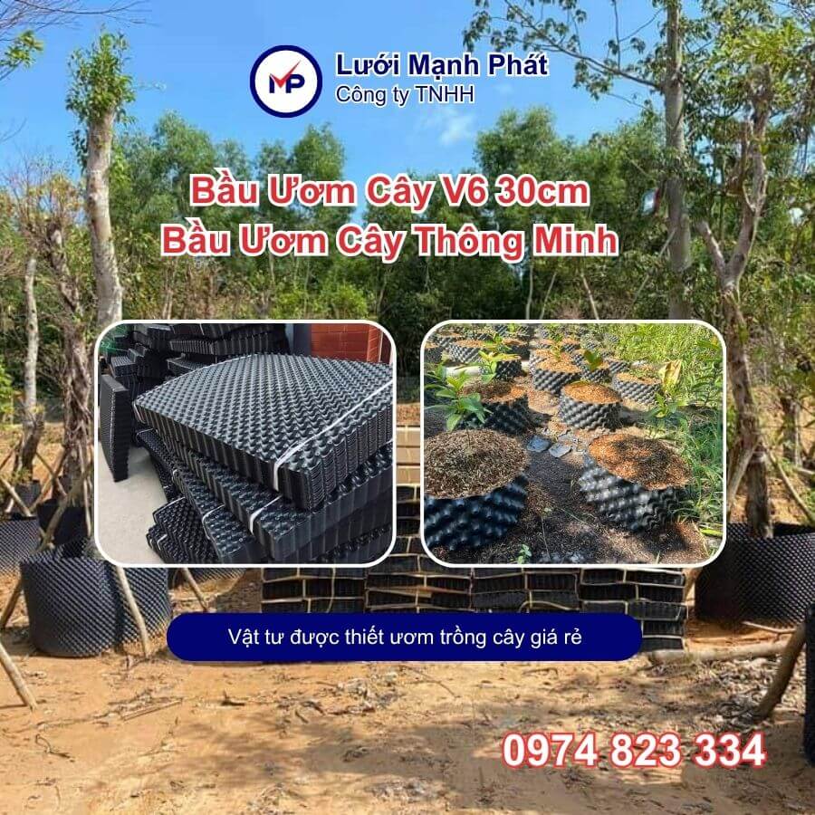 Bầu Ươm Cây V6 30cm