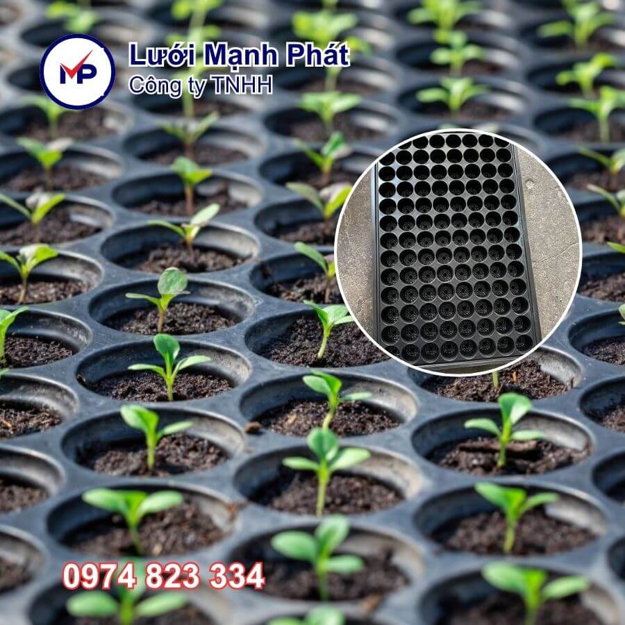 khay ươm cây giống 104 lỗ