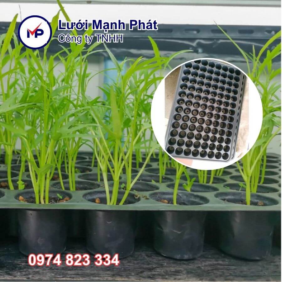 khay ươm hạt 104 lỗ