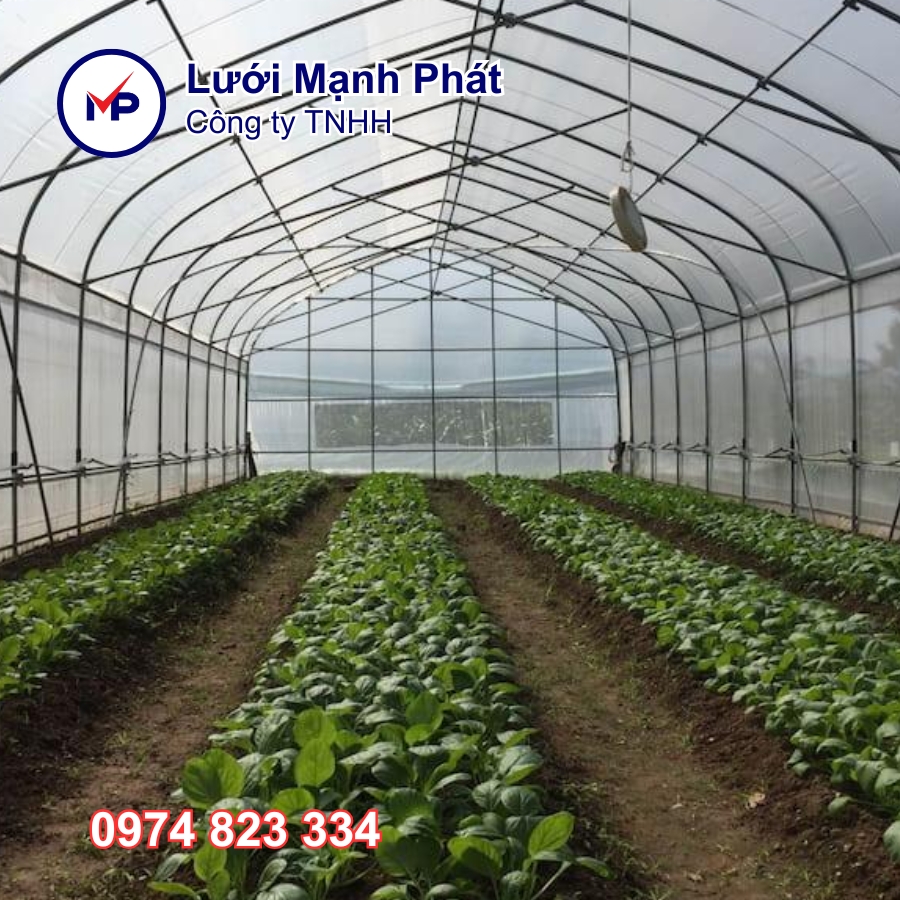màng phủ nhà kính profilm