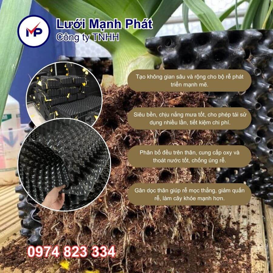 ưu điểm bầu ươm cây v6 30cm