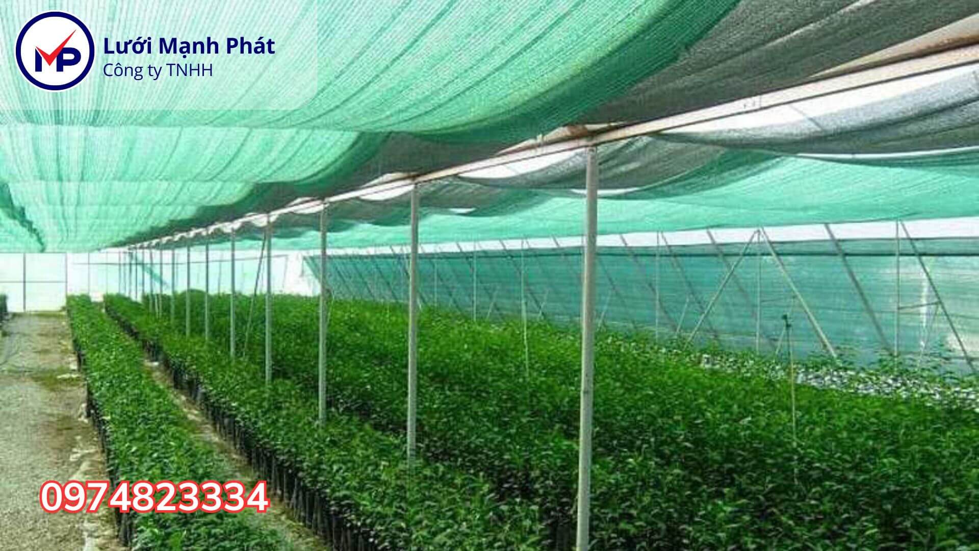 chọn lưới che nắng phù hợp hợp