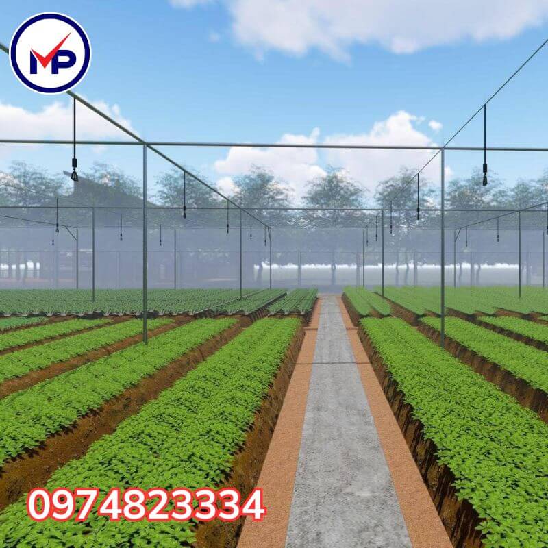 cach lam nha luoi trong rau