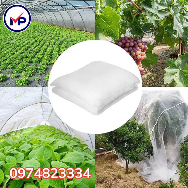 chi phí làm nhà lưới trồng rau