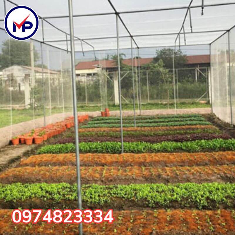 làm nhà lưới trồng rau sạch