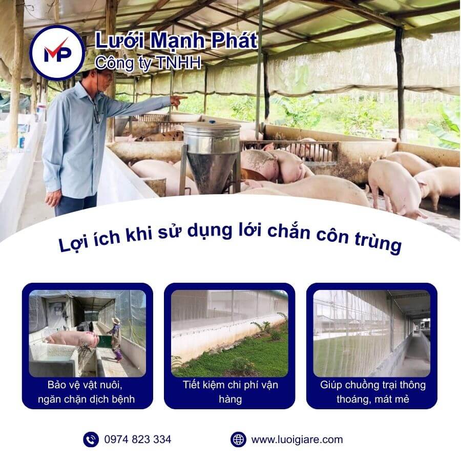 giá lưới chống muỗi chuồng trại