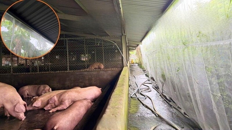 lưới chắn côn trùng chuồng trại chăn nuôi