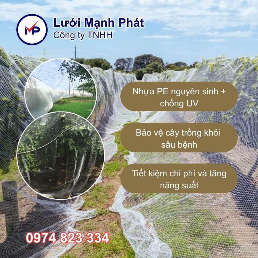lưới trùm cây táo nhãn mận